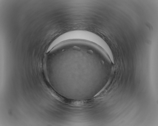 X0000110890084200907021526