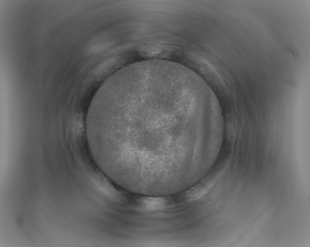 X0000110890085200907021526