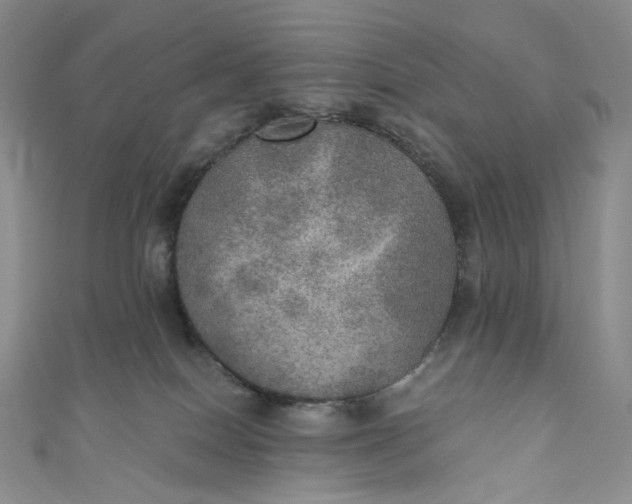 X0000110890086200907021526