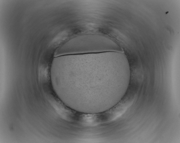 X0000110890088200907021526