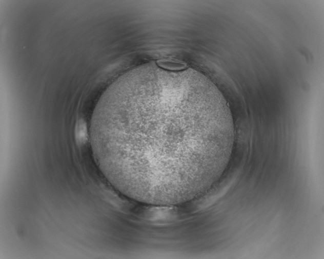 X0000110890089200907021526