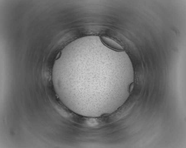 X0000110890091200907021526