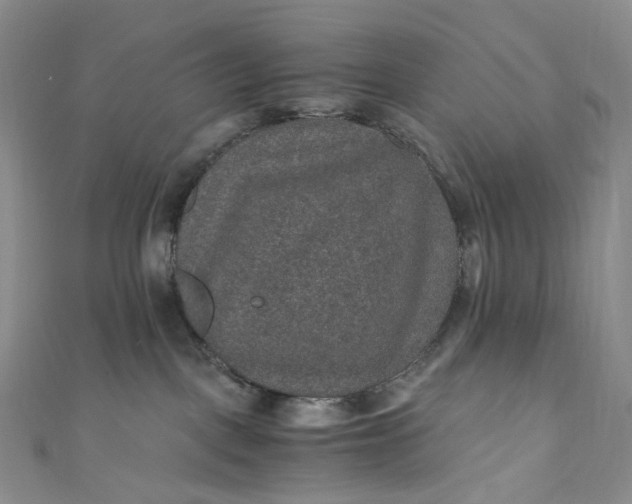 X0000110890093200907021526