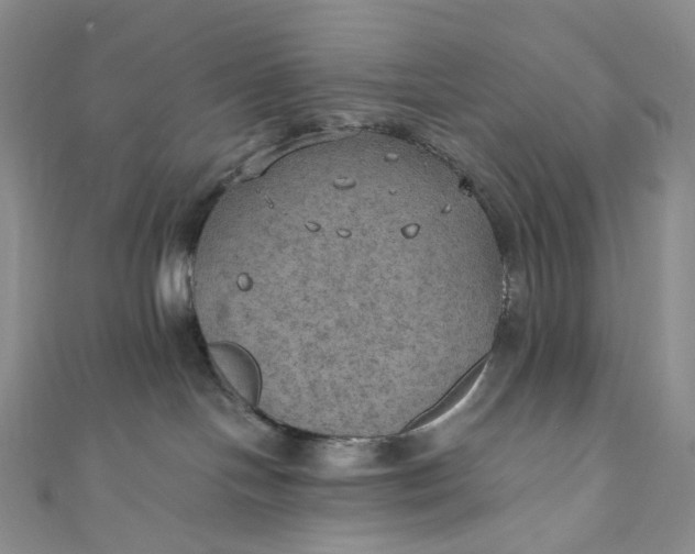 X0000110890094200907021526