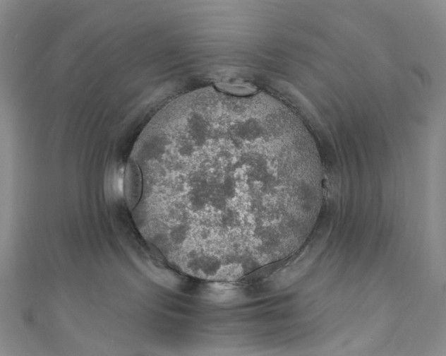 X0000110890095200907021526