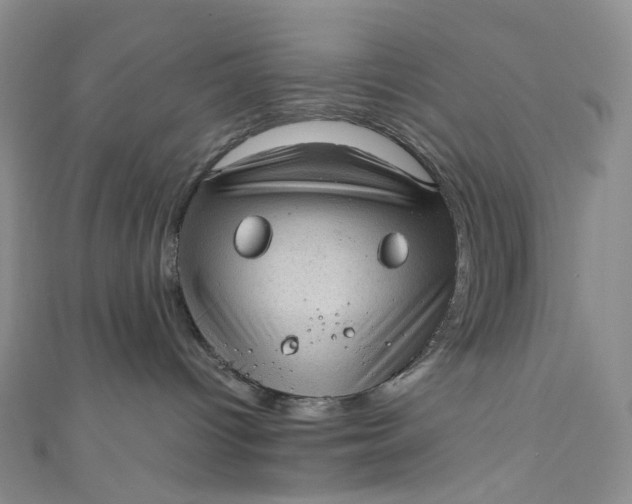 X0000110890096200907021526