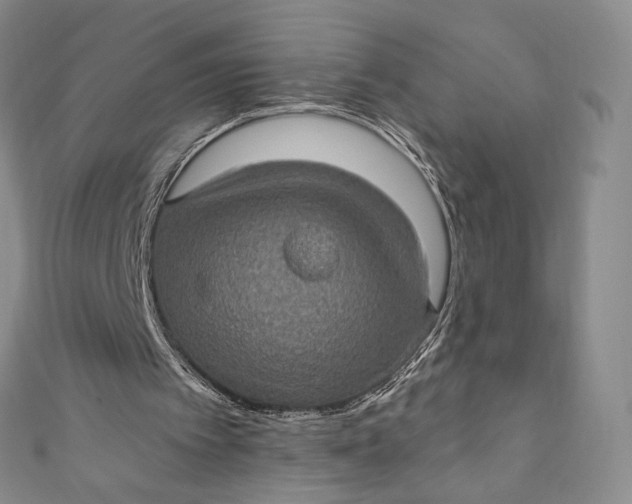 X0000110890097200907021525