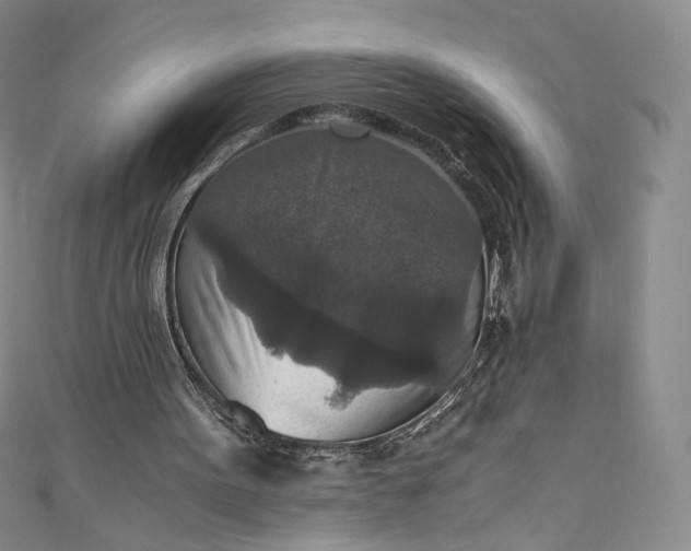 X0000110890099200907021525