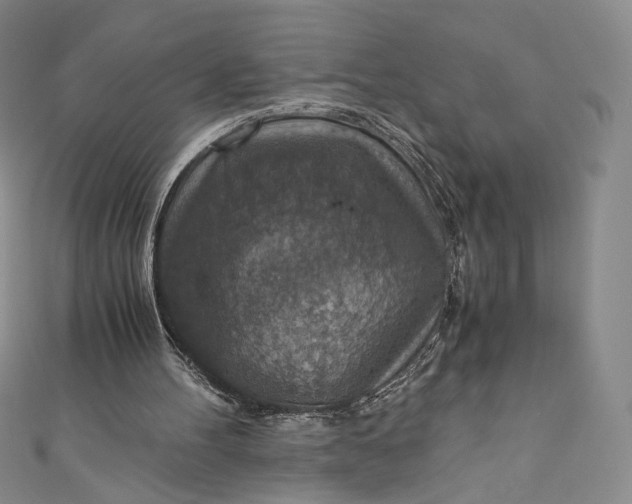 X0000110890100200907021525