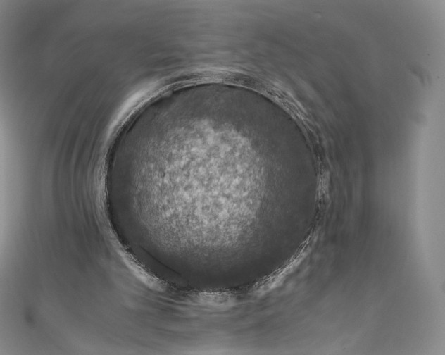 X0000110890101200907021525