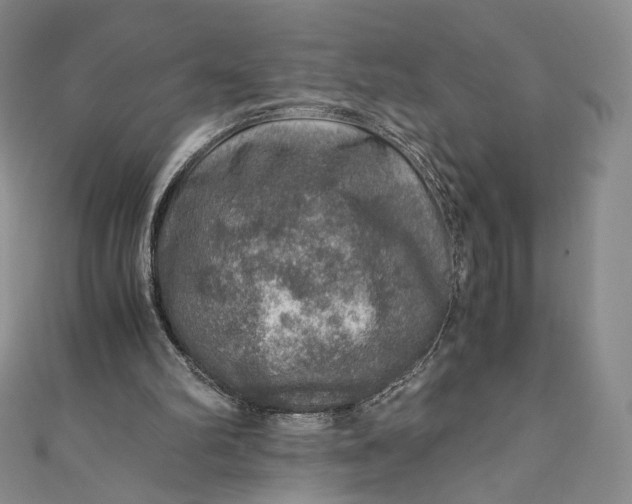 X0000110890102200907021525