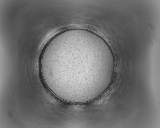 X0000110890103200907021525