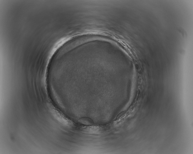 X0000110890104200907021525