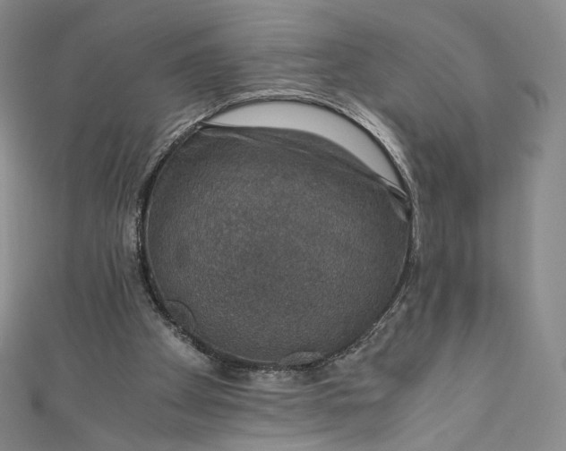 X0000110890105200907021525