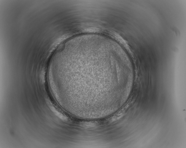 X0000110890106200907021525