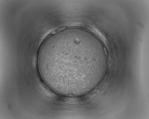 X0000110890107200907021525