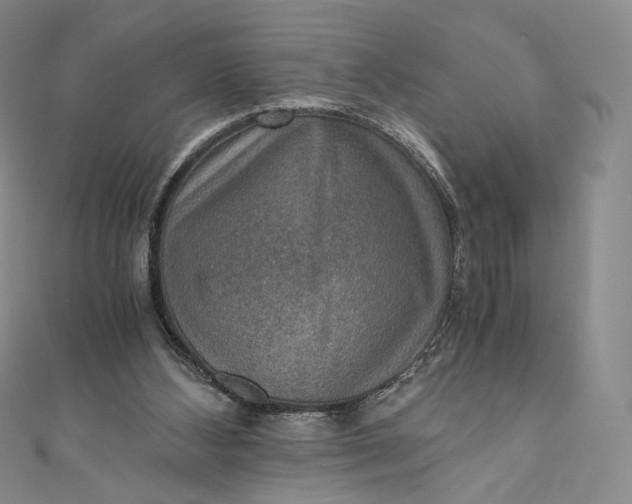 X0000110890108200907021525