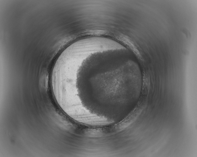 X0000110890110200907021525