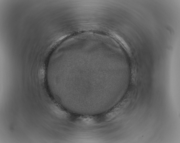 X0000110890113200907021525