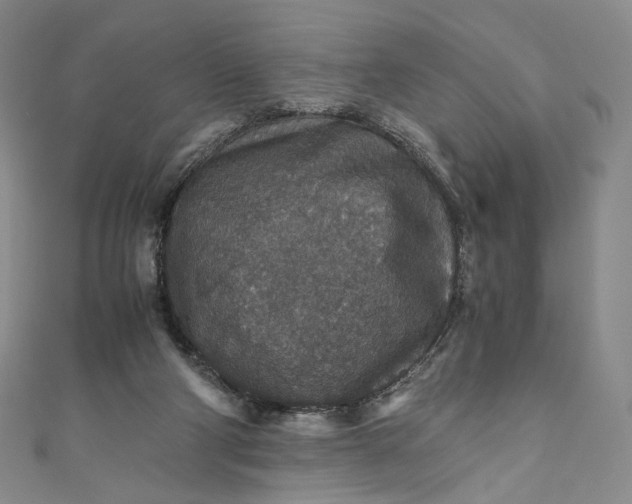 X0000110890114200907021525