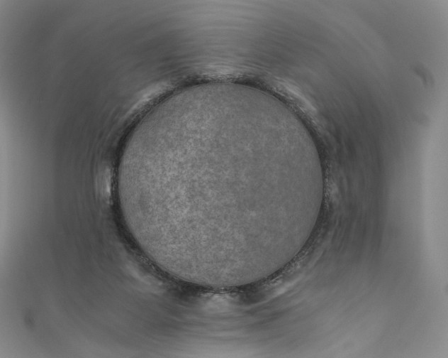 X0000110890115200907021525