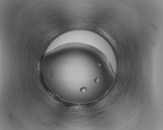 X0000110890117200907021525