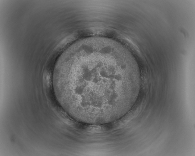 X0000110890123200907021525