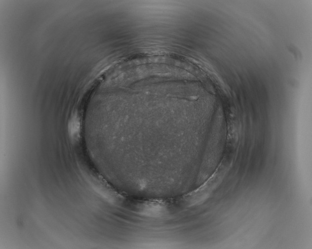 X0000110890124200907021525