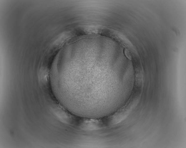 X0000110890125200907021525