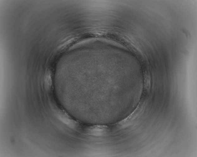 X0000110890128200907021525