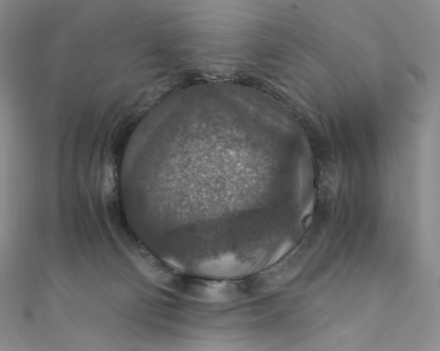 X0000110890130200907021525