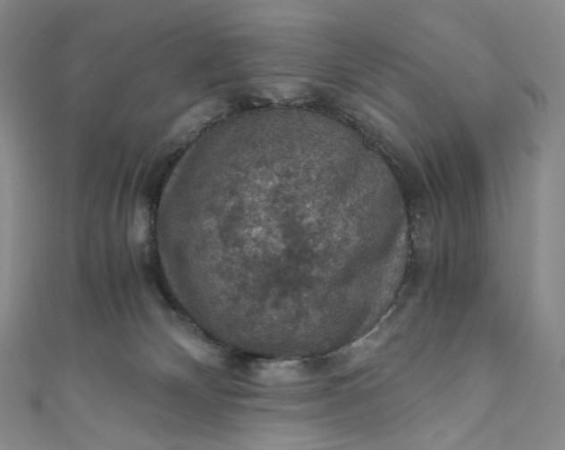 X0000110890132200907021525