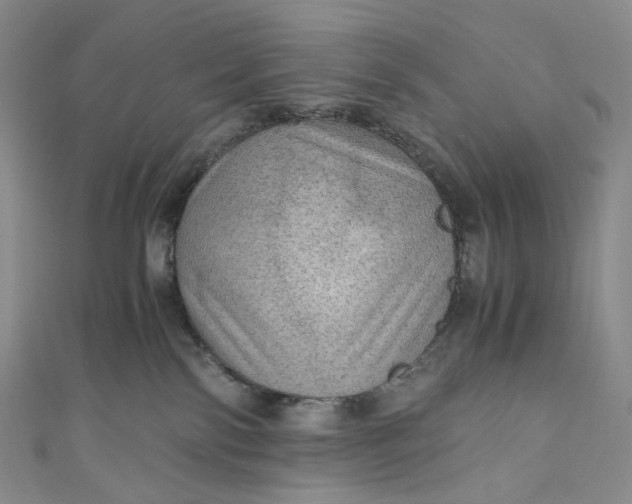 X0000110890138200907021525