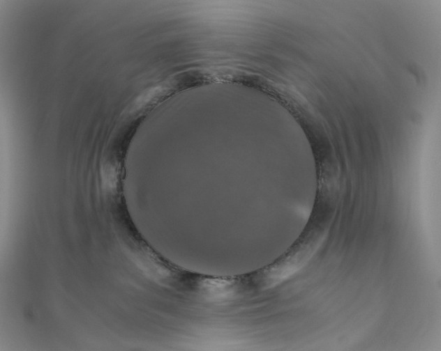 X0000110890139200907021525