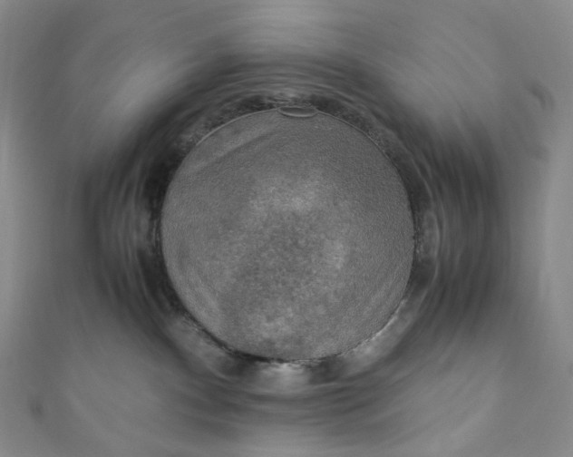 X0000110890140200907021525