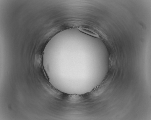 X0000110890141200907021525