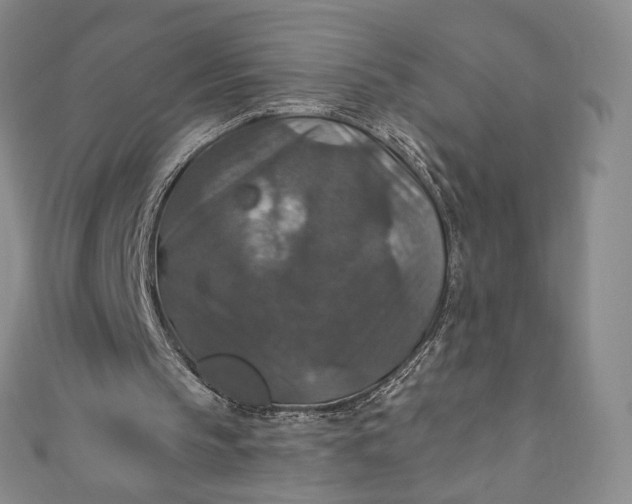 X0000110890145200907021524