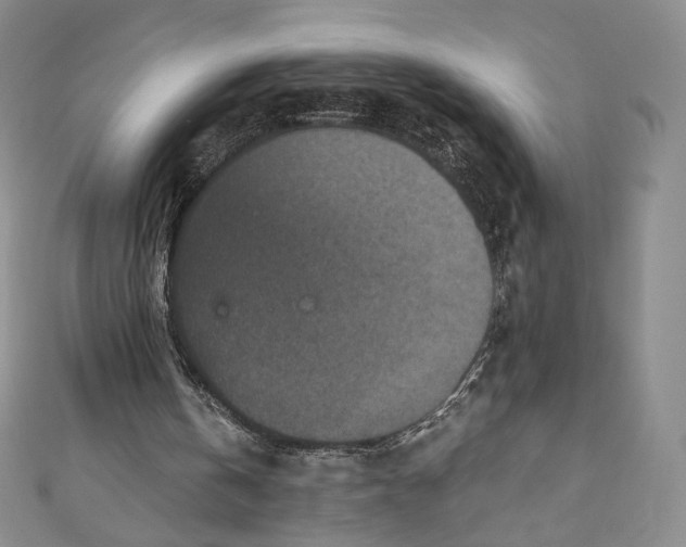 X0000110890146200907021524