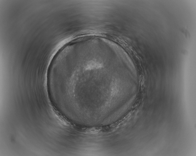 X0000110890148200907021524