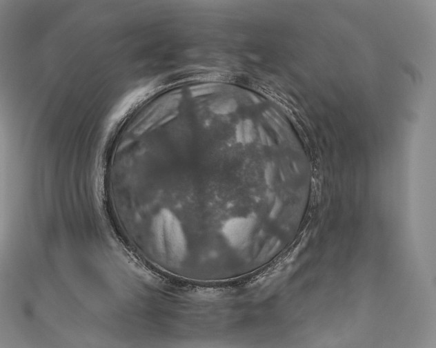 X0000110890149200907021524