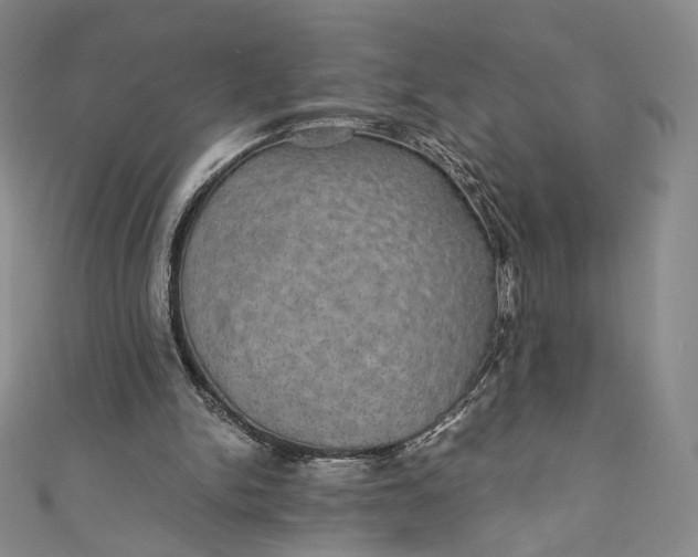 X0000110890150200907021524