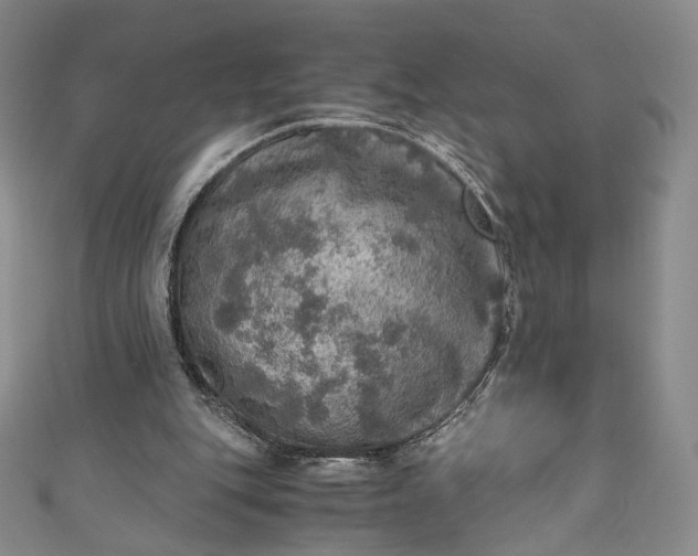 X0000110890151200907021524