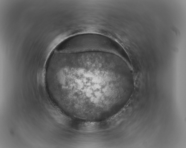 X0000110890152200907021524