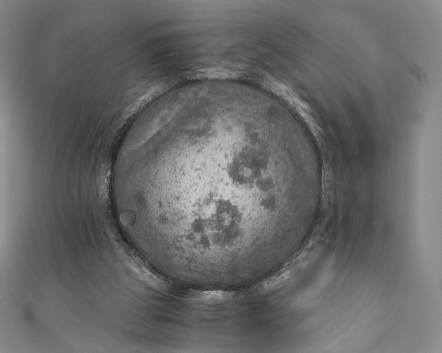 X0000110890153200907021524