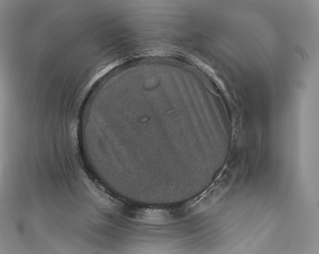 X0000110890154200907021524