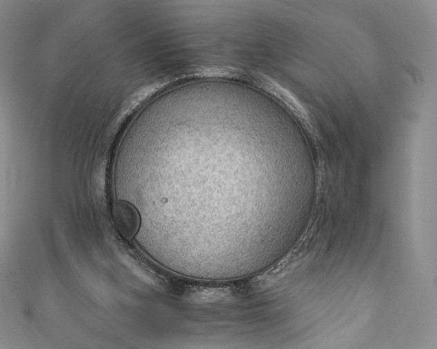 X0000110890155200907021524