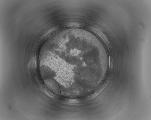 X0000110890157200907021524