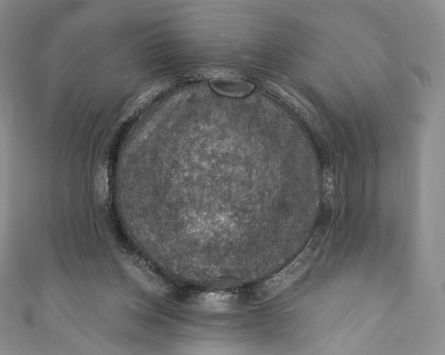 X0000110890158200907021524