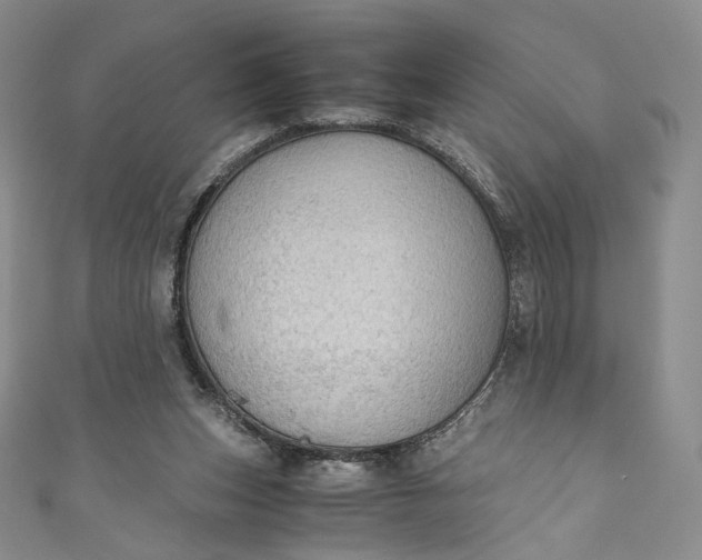 X0000110890159200907021524