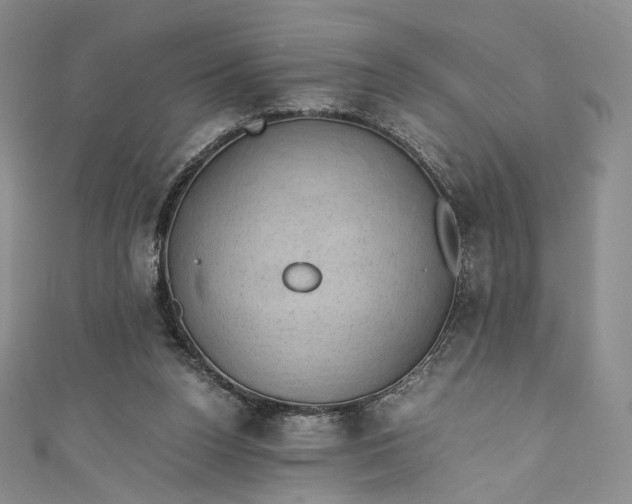 X0000110890160200907021524